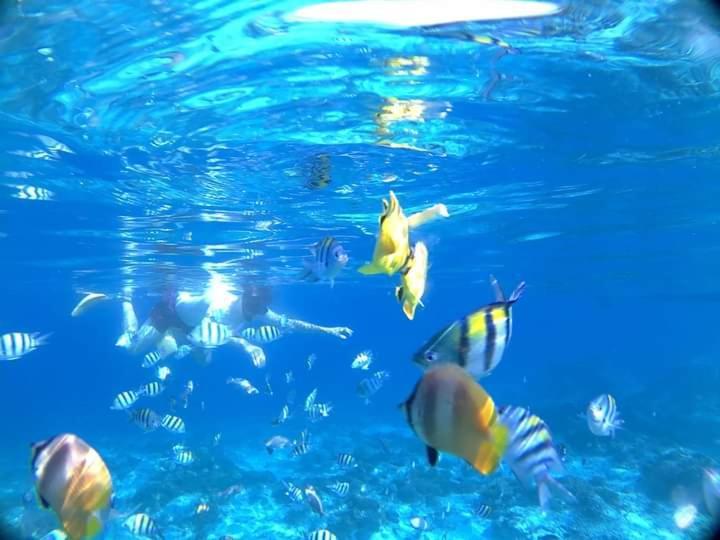 Apartament Radika House Gili Trawangan Zewnętrze zdjęcie